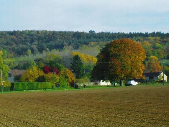 Bouffignereux